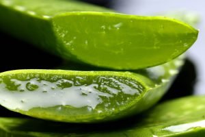 Aloe Copyright Free Image by pixabay.com 2163120_1920