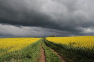 spring 4503686 1920 বৃষ্টি/বাংলাদেশের খবর