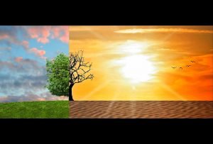 জলবায়ু পরিবর্তন Copyright Free Image by pixabay.com-g9a026b2af_1280