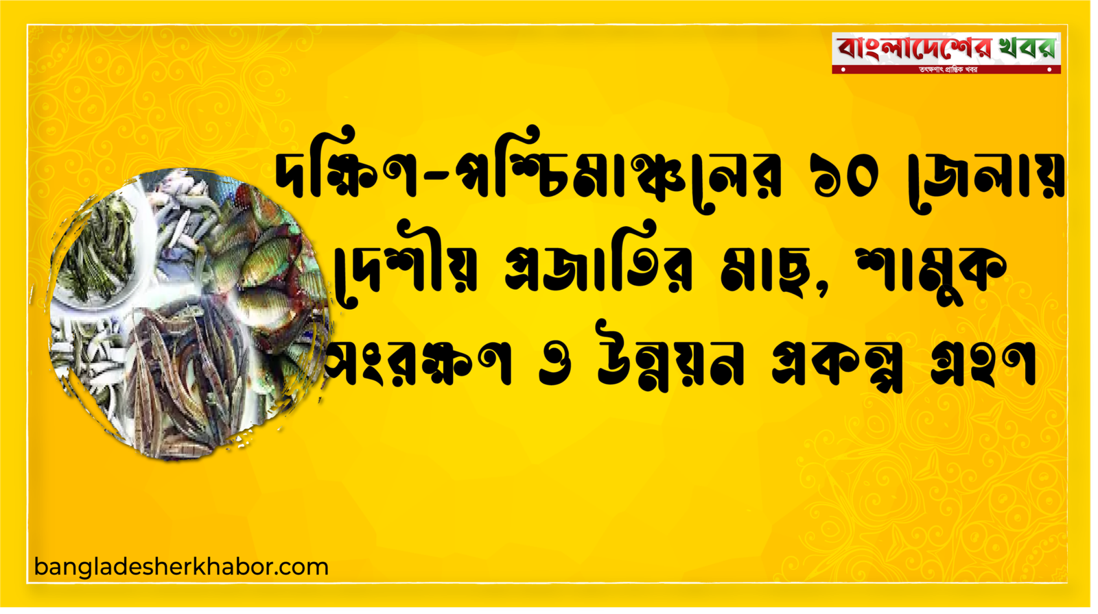 দক্ষিণ-পশ্চিমাঞ্চলের ১০ জেলায় দেশীয় প্রজাতির মাছ, শামুক সংরক্ষণ ও উন্নয়ন প্রকল্প গ্রহণ