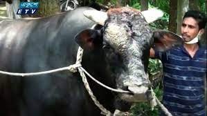 নাটোরের কালাতুফান