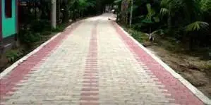 নাটোরের গ্রামীণ জনপদে দেশের প্রথম ইউনিব্লকের রাস্তা