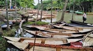 কুমিল্লায় ডিঙি নৌকা তৈরির ধুম পড়েছে