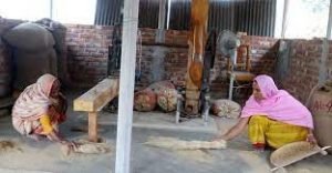 ঠাকুরগাঁওয়ে সাড়া ফেলেছে ওমর ফারুকের ‘ডিজিটাল ঢেঁকি’