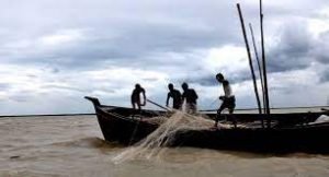 ভোলার মেঘনা ও তেঁতুলিয়া নদীতে ইলিশ শিকার শুরু হচ্ছে আগামীকাল 1 ভোলার মেঘনা ও তেঁতুলিয়া নদীতে ইলিশ শিকার শুরু হচ্ছে আগামীকাল