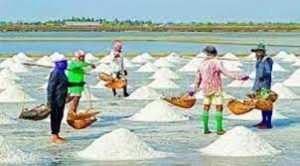 রাজশাহীতে আয়োডিনযুক্ত লবণ আইন-২০২১ অবহিতকরণ কর্মশালা 3 রাজশাহীতে আয়োডিনযুক্ত লবণ আইন-২০২১ অবহিতকরণ কর্মশালা