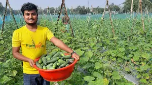 করোনাকালে পতিত জমি কাজে লাগিয়ে শাকিল আহমেদ এখন সফল উদ্যেক্তা 2020 5 করোনাকালে পতিত জমি কাজে লাগিয়ে শাকিল আহমেদ এখন সফল উদ্যেক্তা
