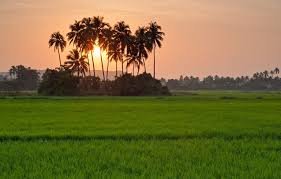 মনোহরগঞ্জের বানঘর গ্রামকে শহরে রূপ দেয়ার উদ্যোগ 3 মনোহরগঞ্জের বানঘর গ্রামকে শহরে রূপ দেয়ার উদ্যোগ