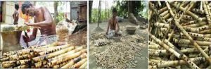 কুমিল্লায় বাঁশি শিল্পের সাথে জড়িতরা ব্যস্ত সময় পার করছেন 2 কুমিল্লায় বাঁশি শিল্পের সাথে জড়িতরা ব্যস্ত সময় পার করছেন
