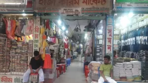 হৈমন্তী Haimanti [ ছোটগল্প, গল্পগুচ্ছ ] রবীন্দ্রনাথ ঠাকুর