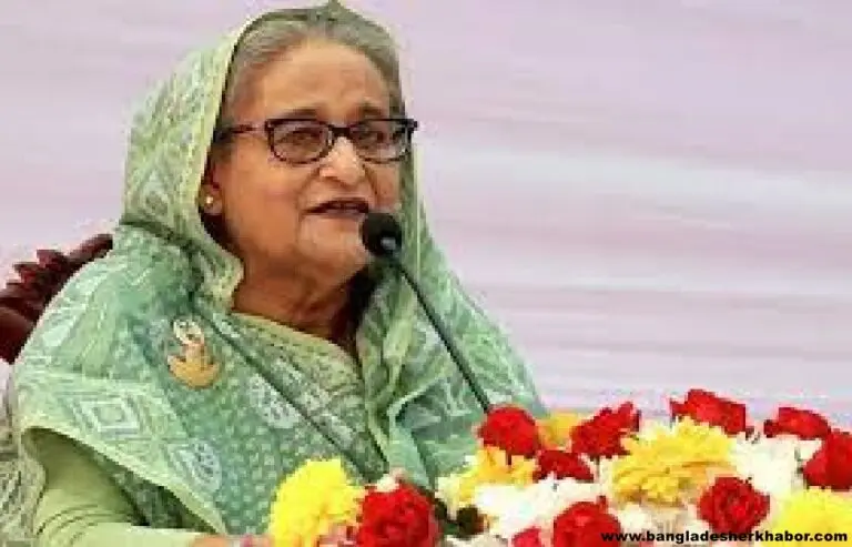 বাংলাদেশকে ব্যর্থ রাষ্ট্রে পরিণত করতে স্বাধীনতা বিরোধী শক্তিরা তৎপর : প্রধানমন্ত্রী