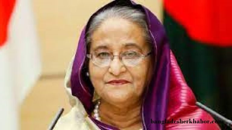 বিএনপি ক্ষমতায় গেলে মানুষের ভোটের অধিকার নিয়ে ছিনিমিনি খেলে : প্রধানমন্ত্রী