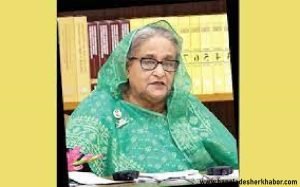 গণতান্ত্রিক প্রক্রিয়া বাধাগ্রস্ত করে এমন কোনো অপপ্রচারে প্রশ্রয় দিবেন না: প্রধানমন্ত্রী