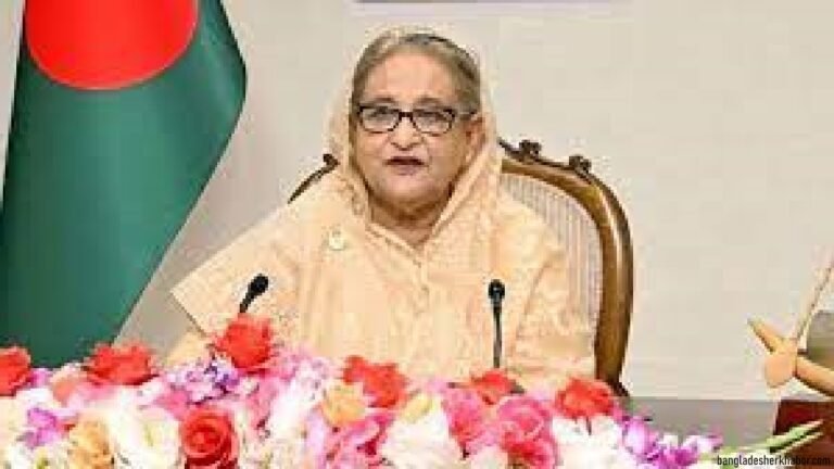 ‘স্মার্ট বাংলাদেশ’ বিনির্মাণের প্রধান হাতিয়ার ডিজিটাল সংযোগ : প্রধানমন্ত্রী