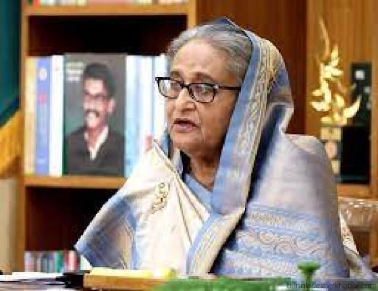 দেশের অর্থনীতিকে চাঙ্গা রাখতে সরকার সর্বাত্মক চেষ্টা করছে : প্রধানমন্ত্রী
