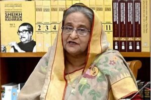 বিএনপি শুধু ধ্বংস ও লুটপাট করতে জানে জনগণের সেবা করতে জানে না : প্রধানমন্ত্রী