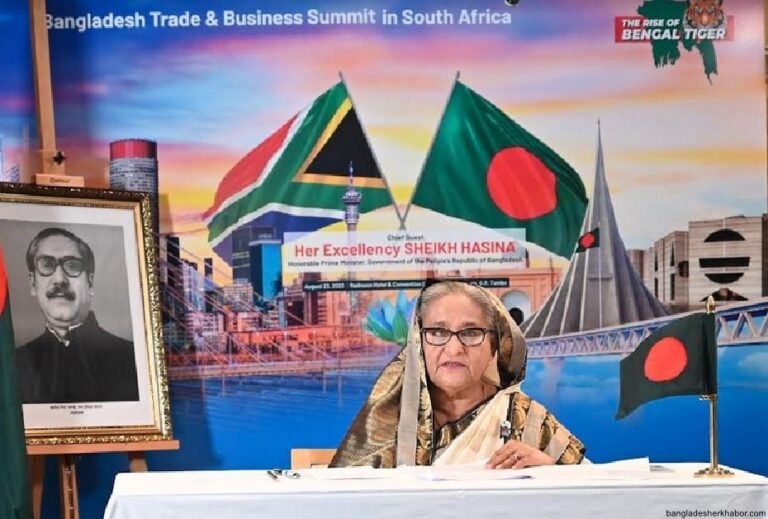 আমি বাংলাদেশকে ট্রিলিয়ন ডলারের অর্থনীতিতে পরিণত করার স্বপ্ন দেখি : প্রধানমন্ত্রী